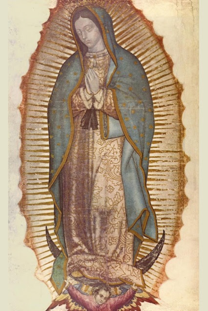 El Manto de la Virgen de Guadalupe